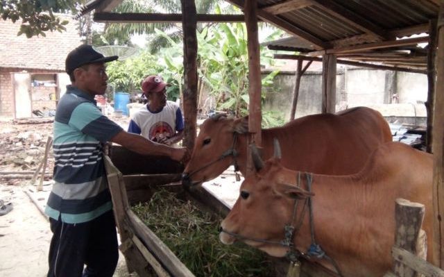 Terapkan Sistem Online untuk Kesehatan Hewan Terapkan Sistem Online untuk Kesehatan Hewan