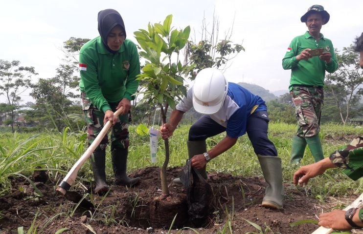 PLN UP3 Lakukan Penanaman Pohon