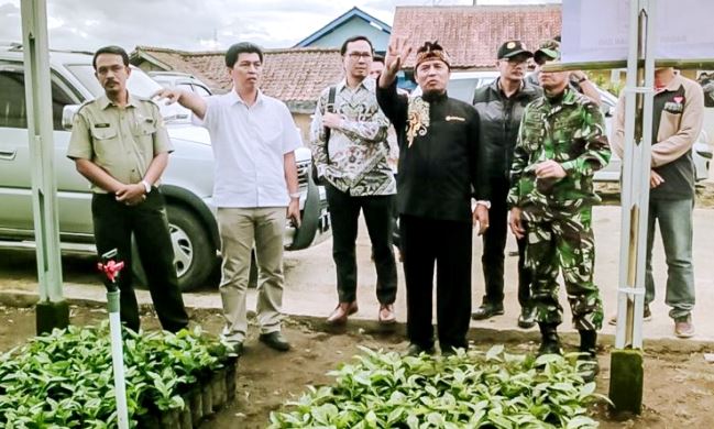 TTP Jadi Basis Pengelolaan Kopi Terpadu