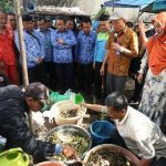 Bio Compound Bisa Olah Sampah