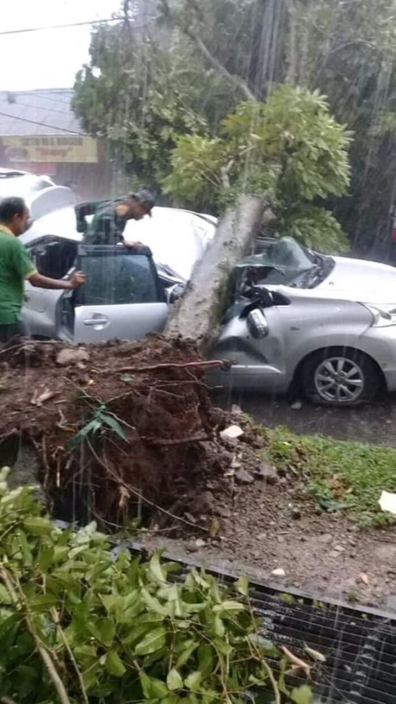 Retno Tewas Tertimpa Pohon