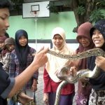 Komunitas Hewan Berikan Edukasi bagi Masyarakat