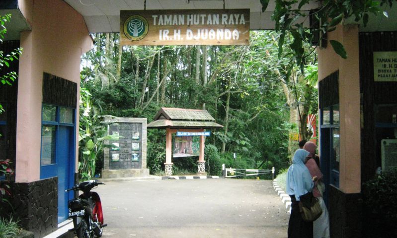 Hijaukan Jabar, Ridwan Kamil Berhasil Tanam 83 Juta Pohon Selama Menjabat Gubernur