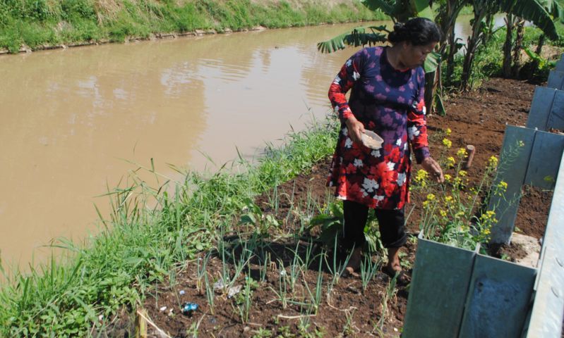 Lahan Terancam Alih Fungsi