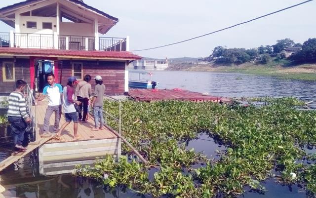 Eceng Gondok Penuhi Danau Jatiluhur Eceng Gondok Penuhi Danau Jatiluhur