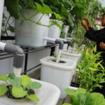 Bantuan PIP Alami Peningkatan