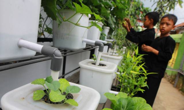 Bantuan PIP Alami Peningkatan