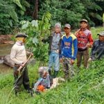 Warga Pasirjambu Gerakan Tanam Pohon