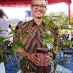 Pestisida Jadi Pilihan Petani Sayuran