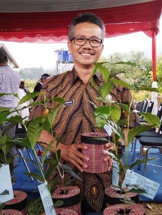 Pestisida Jadi Pilihan Petani Sayuran