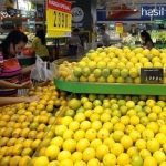 Hasilkan Sayur Kualitas Ekspor