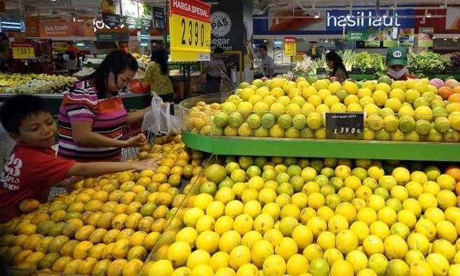 Hasilkan Sayur Kualitas Ekspor Hasilkan Sayur Kualitas Ekspor