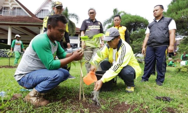 Lakukan Bulan Menanam Pohon