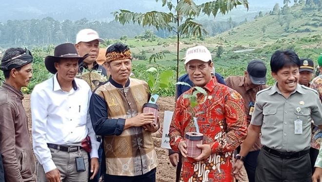 Mentan Berikan 1 Juta Bibit Kopi
