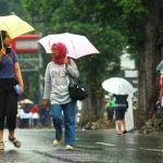 Antisipasi DBD, Dinkes Kerahkan Jumatik ke Rumah Warga