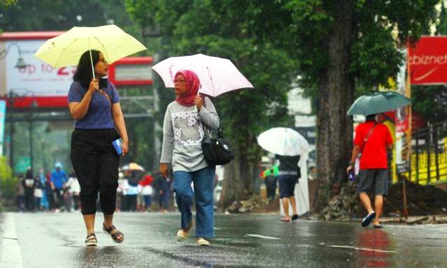 Antisipasi DBD, Dinkes Kerahkan Jumatik ke Rumah Warga