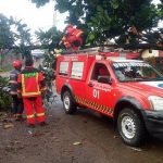 Ada 313 Kasus Kebakaran di 2018