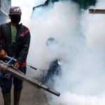 18 Orang Meninggal Akibat DBD