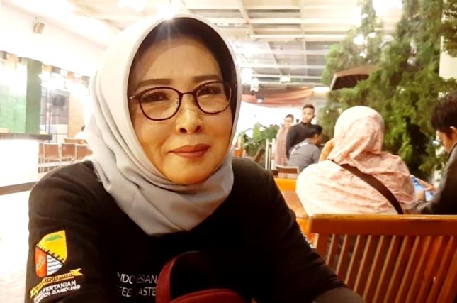 Audisi IMC Berikan Motivasi Kepada Petani Kopi Audisi IMC Berikan Motivasi Kepada Petani Kopi