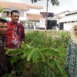 Kembangkan Tanaman Hias dari Calon Pengantin