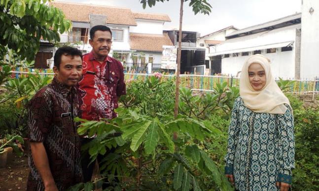Kembangkan Tanaman Hias dari Calon Pengantin
