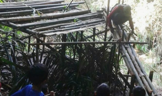 Hama Monyet Rambah Pemukiman Hama Monyet Rambah Pemukiman