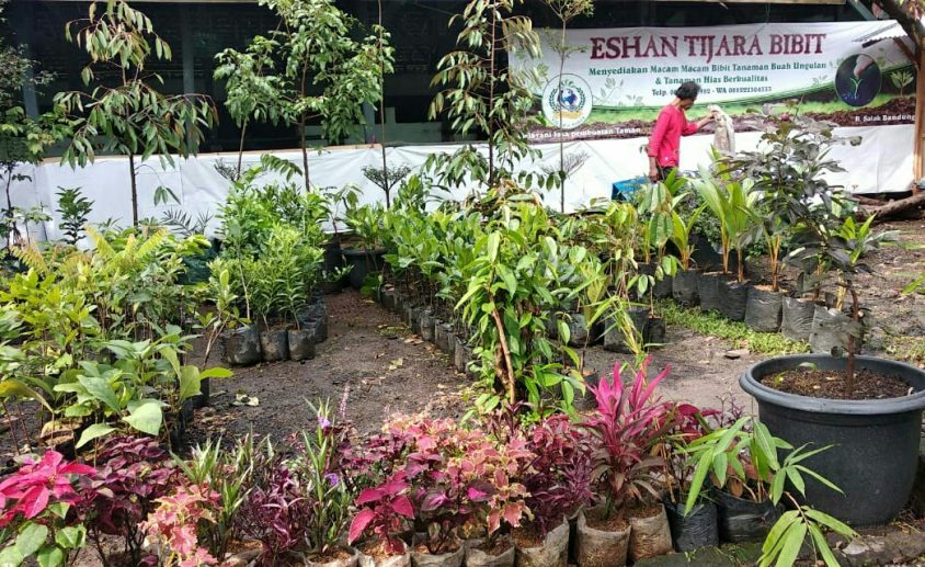 Eshan Tijara Bibit Siap Dukung Program Penghijauan Pemerintah