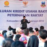 KUR Peternakan Rakyat