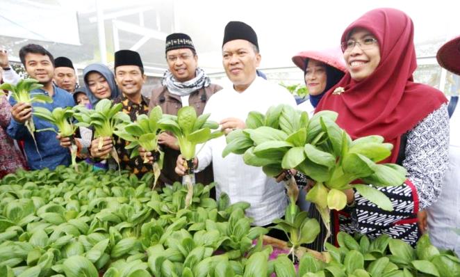 Kelompok Berkebun Flamboyan