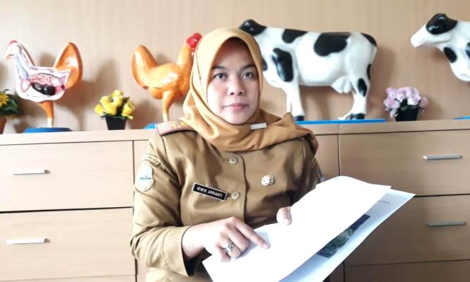 Gawat ! Belasan Warga KBB Digigit Anjing Terindikasi Rabies