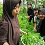 Selain Mengaji, Santri Al-Thariq Peduli pada Lingkungan