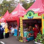 X Adiwiyata Festival 2019