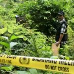 Tengkorak Manusia Ditemukan di Kawasan Hutan