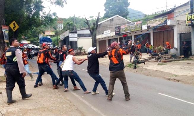 Antisipasi Tumbang, PP Tebang Pohon satpol pp antisipasi pohon tumbang