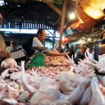Ilustrasi pedagang ayam yang tetap menjual ayam potong meski harga ayam kembali mengalami kenaikan.