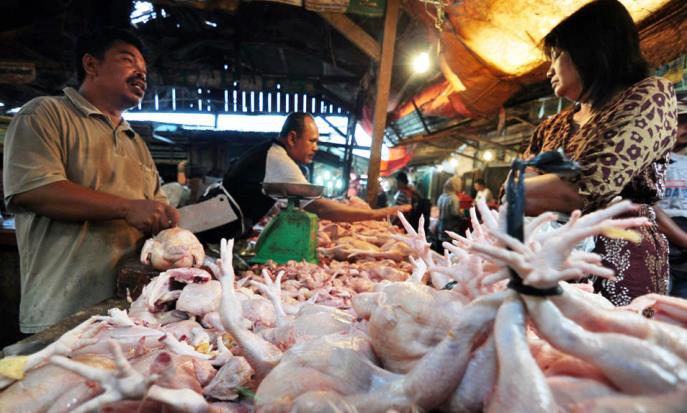 Harga Sembako Dipastikan Masih Stabil Ilustrasi pedagang ayam yang tetap menjual ayam potong meski harga ayam kembali mengalami kenaikan.