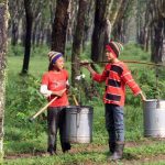 Kerahasiaan Data HGU Picu Konflik Agraria