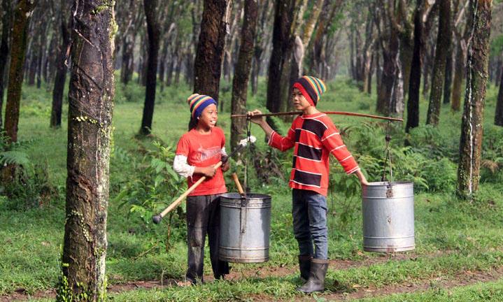 Kerahasiaan Data HGU Picu Konflik Agraria