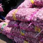 Desak Kemendag Tahan Izin Impor Bawang