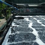 Disidak Satgas Citarum, PT Kewalram Bantah Buang Limbah tanpa IPAL