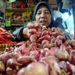 Keterbatasan Stok Berakibat Pada Kenaikan Harga