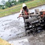 Masalah Pengelolaan Dana Desa