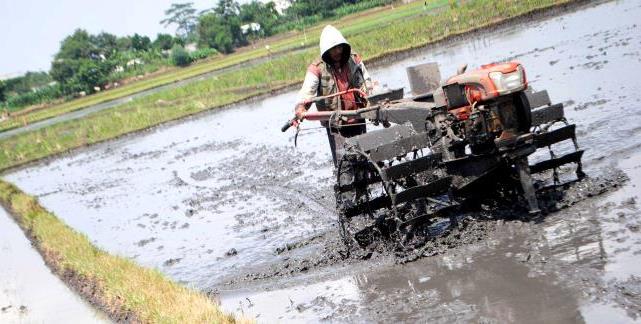 Masalah Pengelolaan Dana Desa Masalah Pengelolaan Dana Desa
