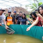 BUMN Ajak Warga Desa Budidaya Lele