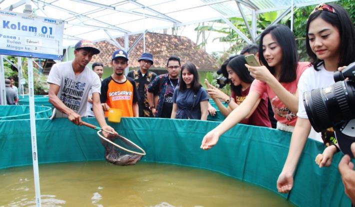 BUMN Ajak Warga Desa Budidaya Lele BUMN Ajak Warga Desa Budidaya Lele