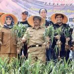 Holtikultura Berwawasan Lingkungan