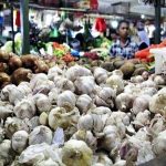 Impor Bawang Putih Bulog Tidak Akan Efektif