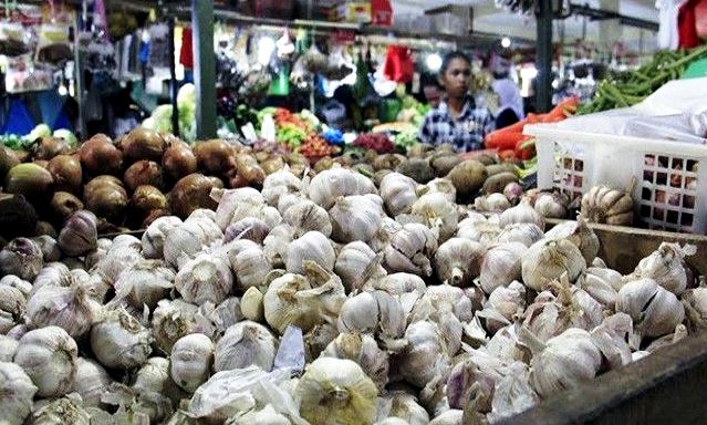 Jokowi Harus Kaji Ulang Impor Bawang