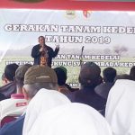 Luas Tanam Kedelai Masih Minim