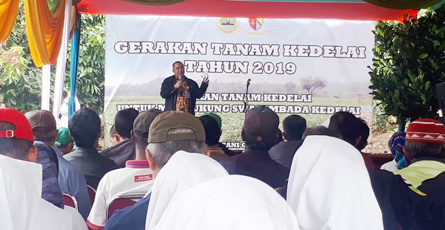 Luas Tanam Kedelai Masih Minim Luas Tanam Kedelai Masih Minim